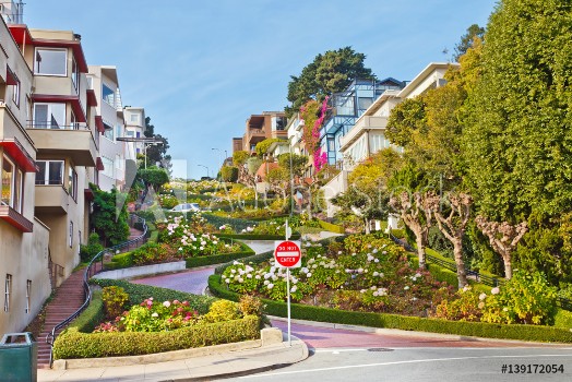 Picture of Famous Lombard Street San Francisco California